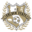 FC GOLDEN STATE