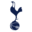 Tottenham Hotspur (Women)