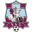 FC Sfintul Gheorghe