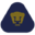 Pumas Tabasco