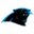 Carolina Discoveries