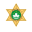 Policia de Seguranca Publica