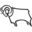 Derby County LFC (Women)