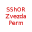 SShOR Zvezda Perm U17