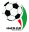Hazfi Cup