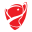 Turkiye Kupasi