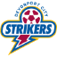 Devonport City Strikers