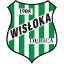KS Wisloka Debica