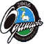 Ssh Vybor-Odintsovo U17