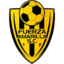 Fuerza Amarilla