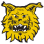 Ilves Tampere U20