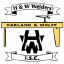 Harland and Wolff Welders FC