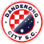 Dandenong City U20