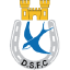 Dungannon Swifts FC