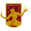 Детройт Сити