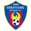 Shenyang Dongjin