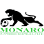 Monaro Panthers FC
