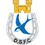 Dungannon Swifts II