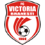 CS Victoria Branesti