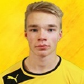 Niskanen, Ilmari